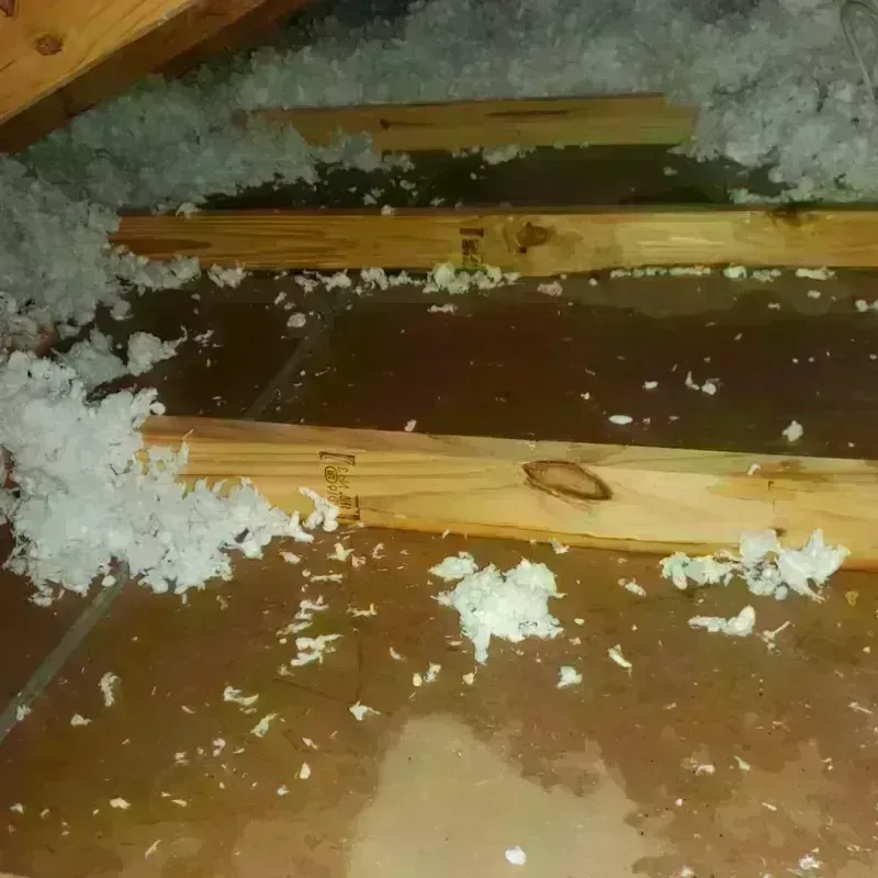 Attic Water Damage in Culebra barrio-pueblo, PR